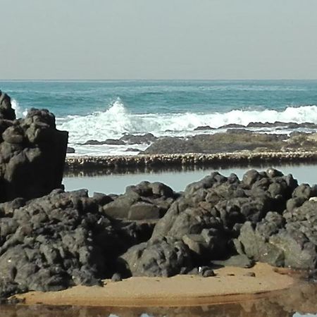 בליטו Evergreen Salt Rock מראה חיצוני תמונה