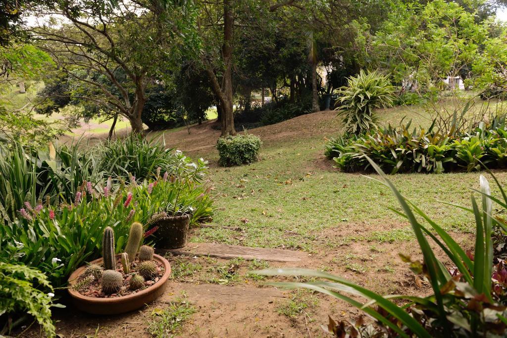 בליטו Evergreen Salt Rock מראה חיצוני תמונה